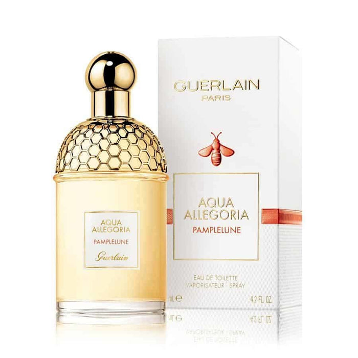 Aqua Allegoria Pamplelune