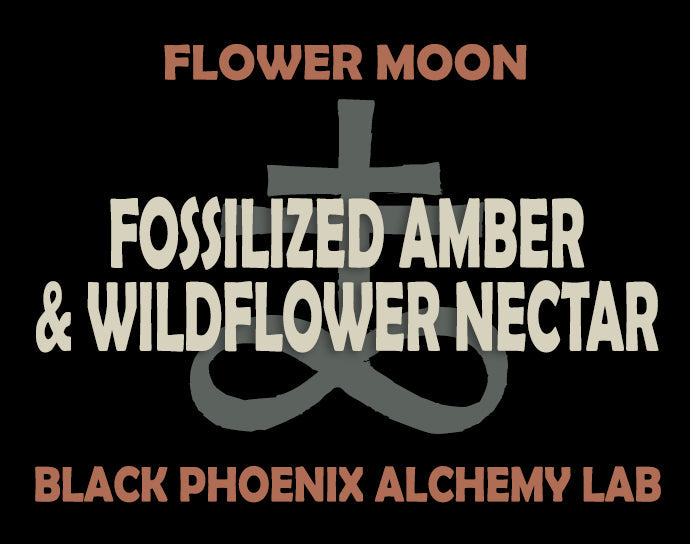 Flower Moon: Fossilized Amber and Wildflower Nectar Perfume Oil