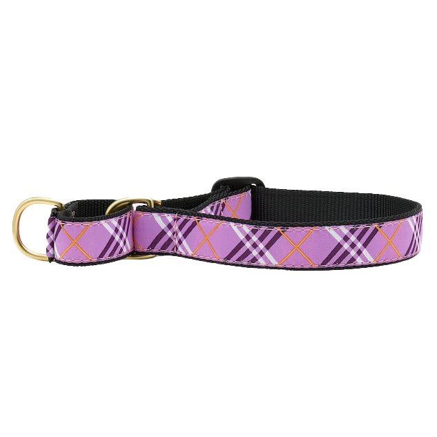 LAVENDER-LATTICE-DOG-COLLAR-MARTINGALE-NO-PULL