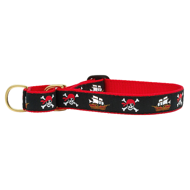 PIRATES-DOG-COLLAR-MARTINGALE-NO-PULL