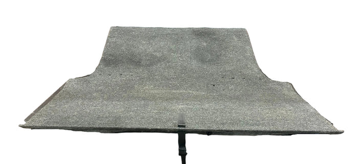 2011-2023 DODGE CHARGER REAR TRUNK CARGO SPARE FLOOR PANEL CARPET COVER OEM