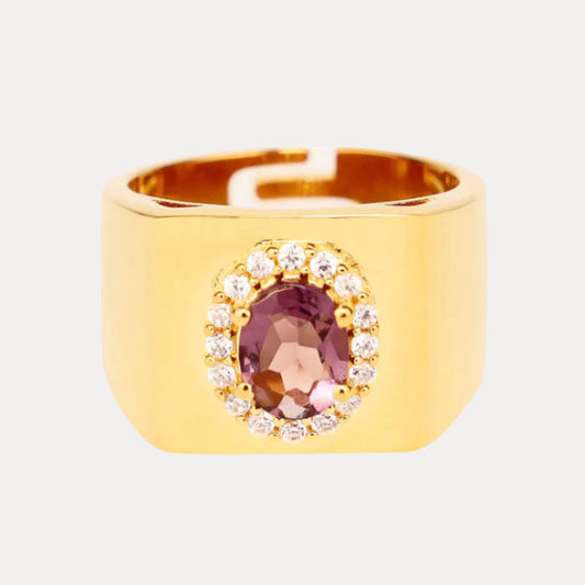 Amethyst/White Gold Plated Brass Adjustable Birthday/Birthstone Rings | BuDhaGirl