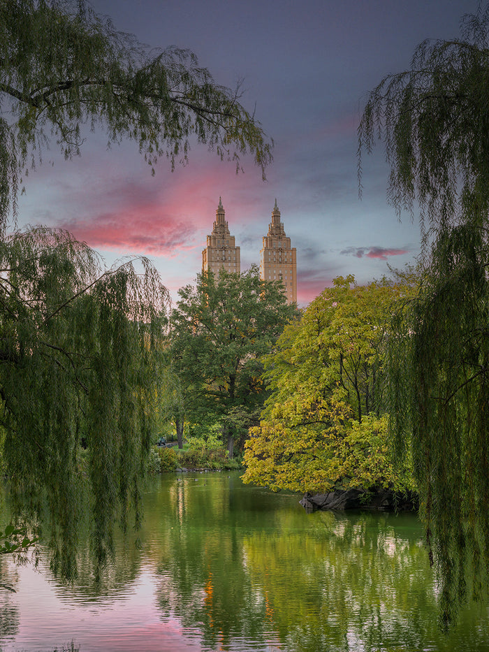 Central Park | Large  Format | by Nick Psomiadis