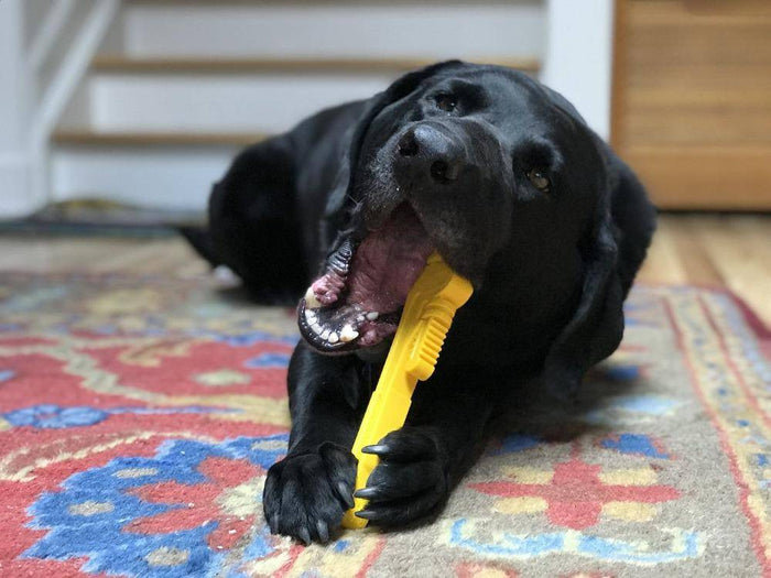 SODAPUP PIPE WRENCH DURABLE CHEW TOY