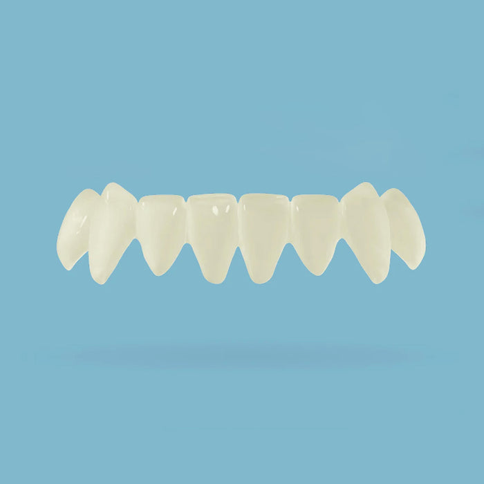 Bottom Teeth / Natural (A1) / Own Models