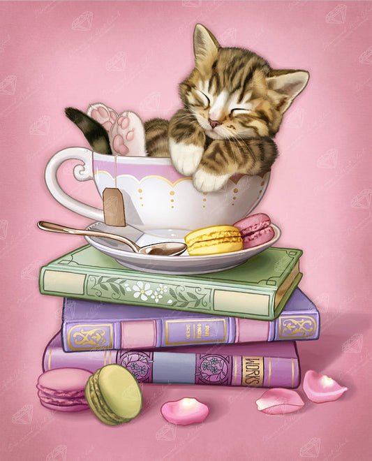 Cozy Time - Diamond Art Club DIY Kit