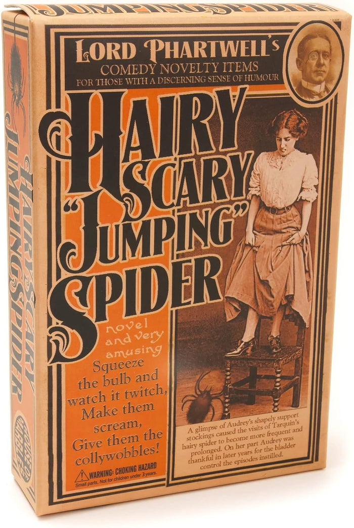 Hairy Scary Jumping Spider