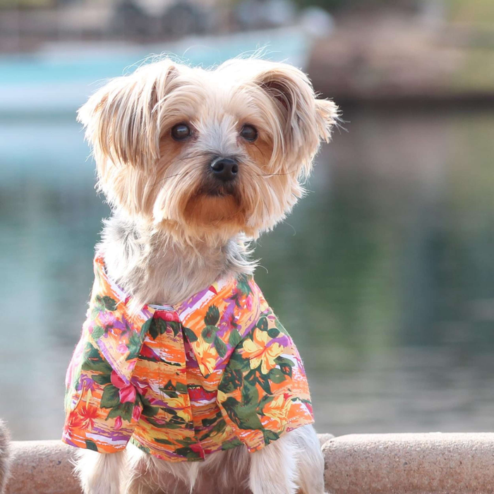 HAWAIIAN-CAMP-SHIRT-SUNSET-HIBISCUS