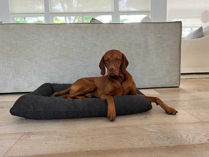 hugo-futon-dog-bed-charcoal
