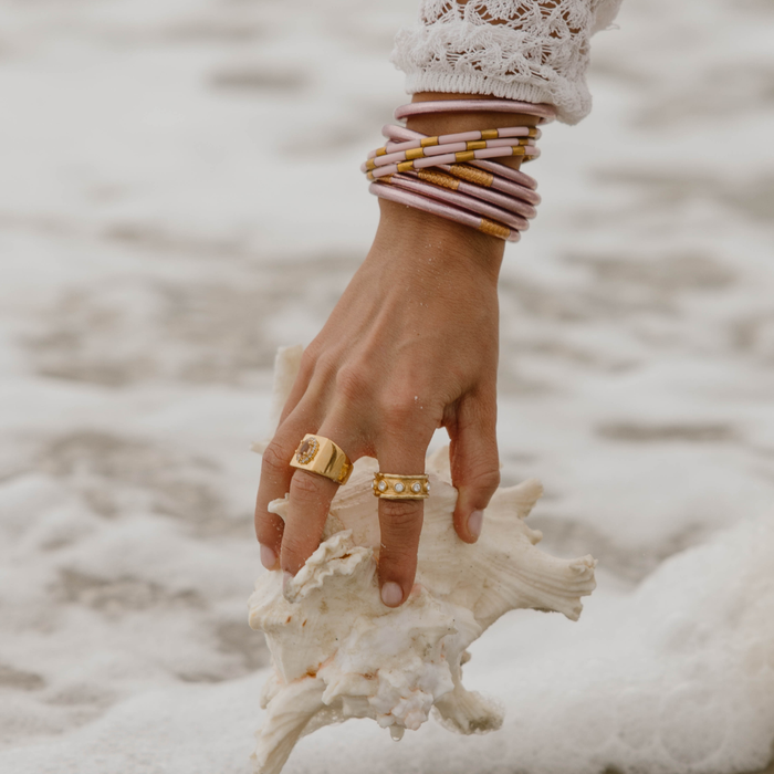 a hand holding a shell
