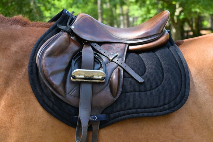 Jump Mesh Saddle Pad with Quick Dry Cotton Lining in Navy, White, or Black