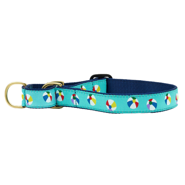BEACH-BALL-DOG-COLLAR-MARTINGALE-NO-PULL
