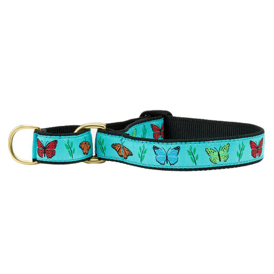 BUTTERFLY-EFFECT-DOG-COLLAR-MARTINGALE-NO-PULL