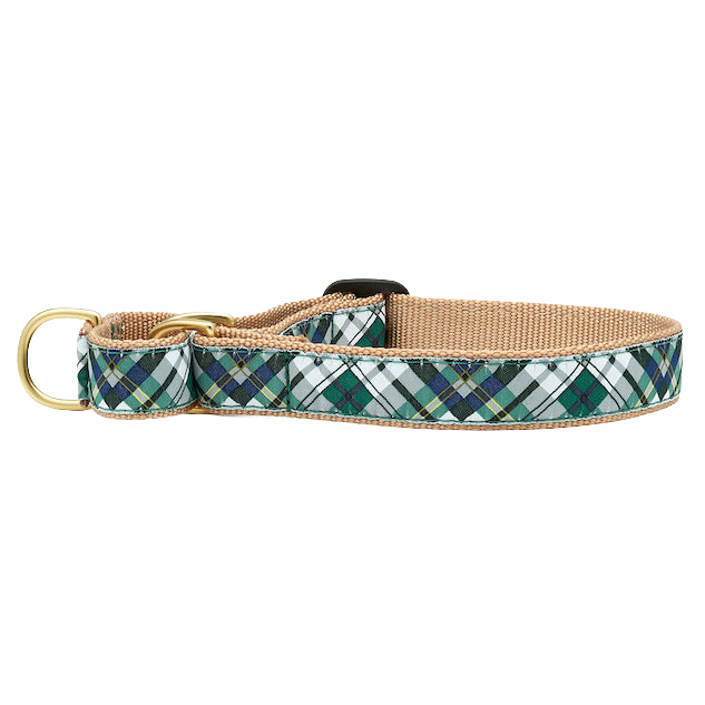 GORDON-PLAID-DOG-COLLAR-MARTINGALE-NO-PULL