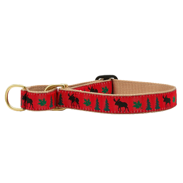 MOOSE-DOG-COLLAR-MARTINGALE-NO-PULL