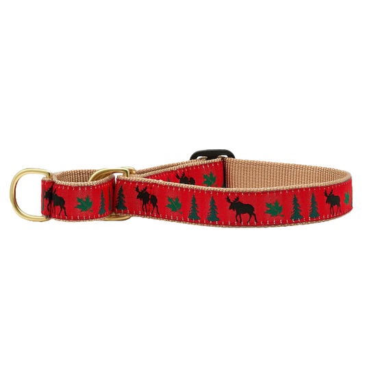 MOOSE-DOG-COLLAR-MARTINGALE-NO-PULL