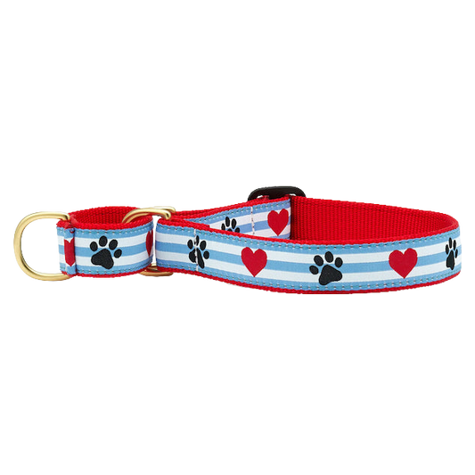 PAWPRINT-STRIPE-DOG-COLLAR-MARTINGALE-NO-PULL