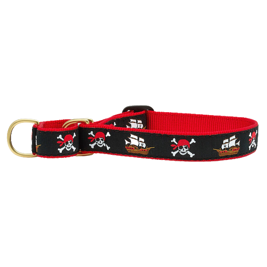 PIRATES-DOG-COLLAR-MARTINGALE-NO-PULL