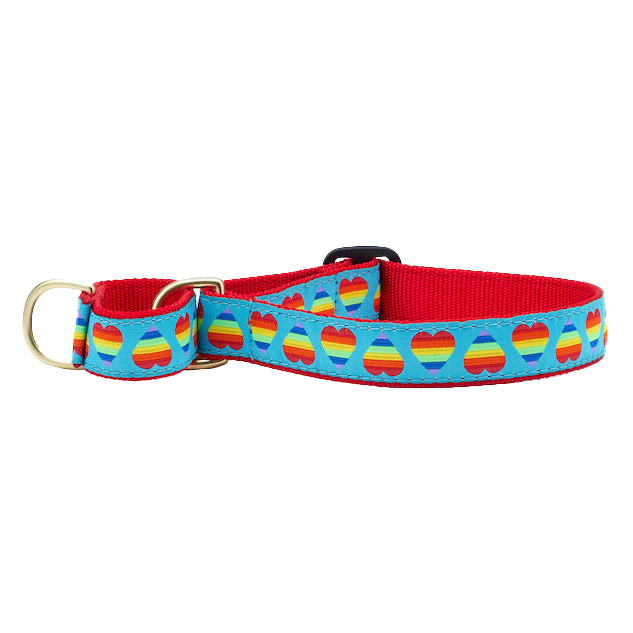 RAINBOW-HEARTS-DOG-COLLAR-MARTINGALE-NO-PULL