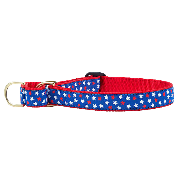 STARS-DOG-COLLAR-MARTINGALE-NO-PULL