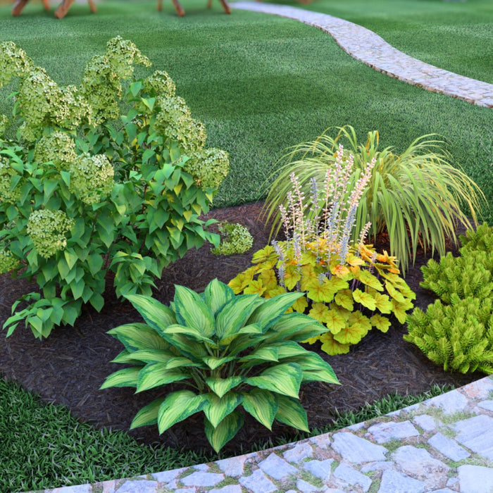Medium Accent Garden