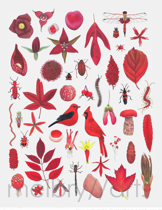 melbry//arts - Color in the Midwest 11x14 Prints