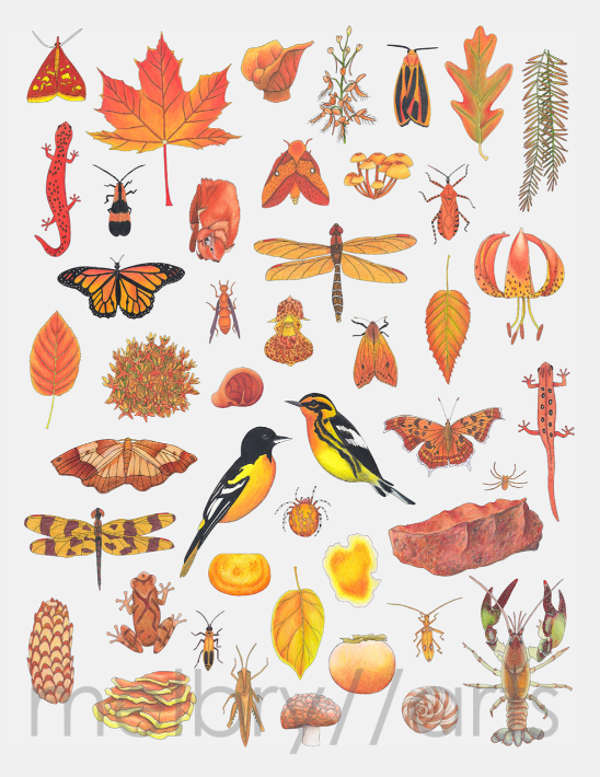 melbry//arts - Color in the Midwest 11x14 Prints