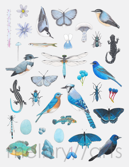 melbry//arts - Color in the Midwest 11x14 Prints