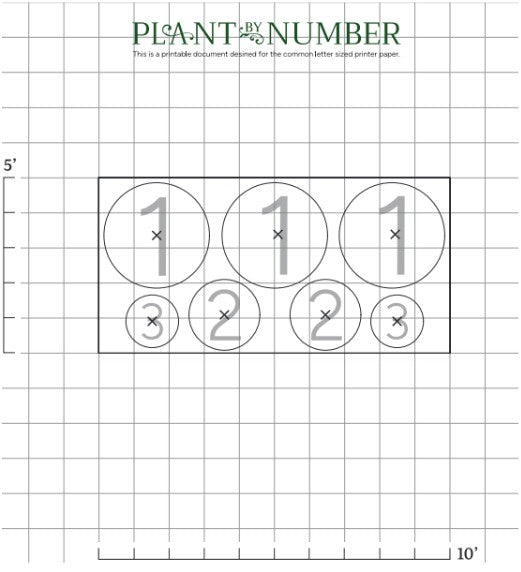landscaping layout for narrow privacy screen