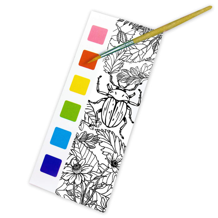 Paint Magic – Woodland Wildlife