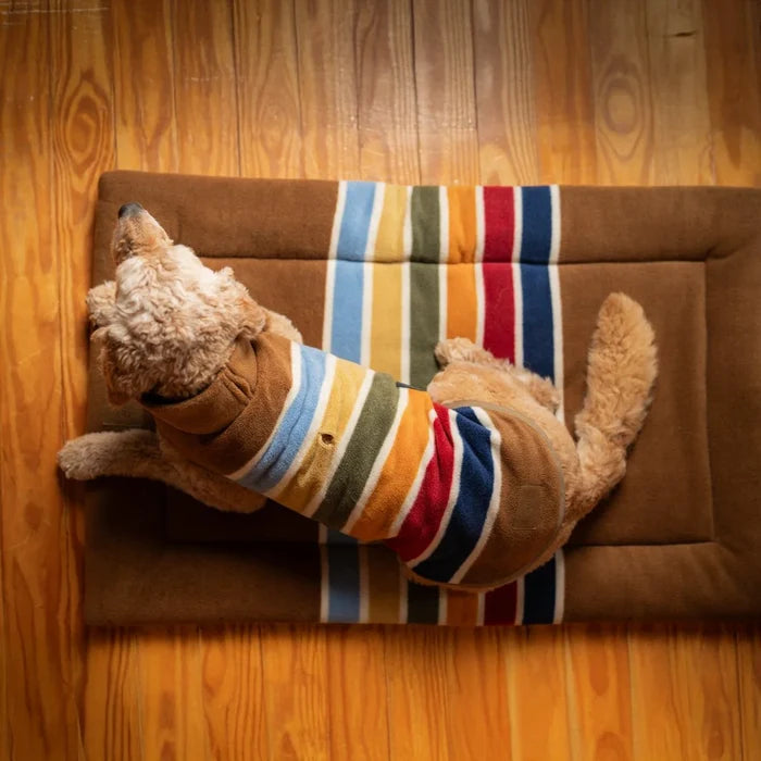 Pendleton Park Comfort Cushion | Joshua Tree