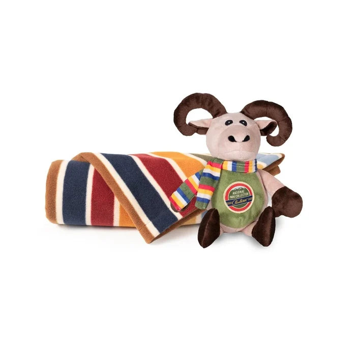 Pendleton Throw & Pet Pal | Joshua Tree