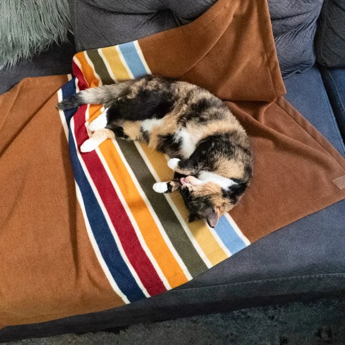 Pendleton Throw & Pet Pal | Joshua Tree