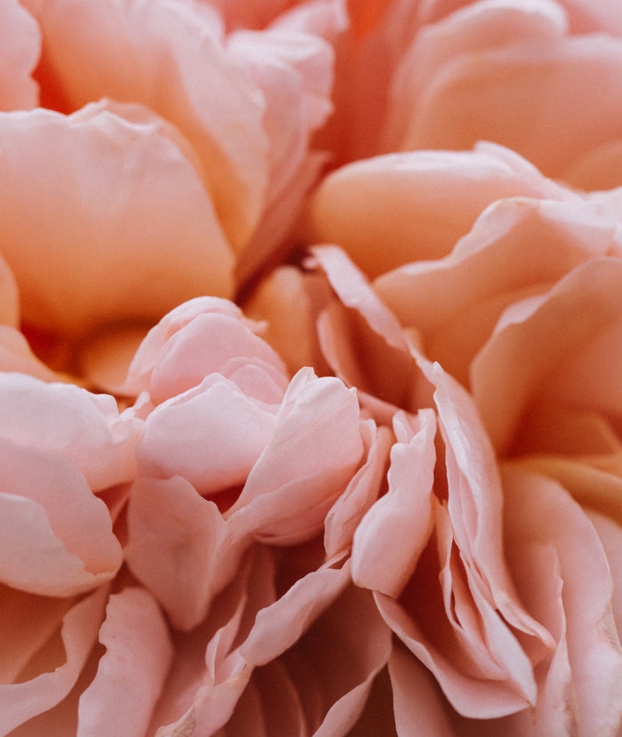 Pétale Éphémère Eau de Parfum