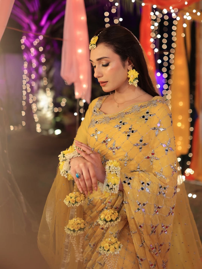 Roshni