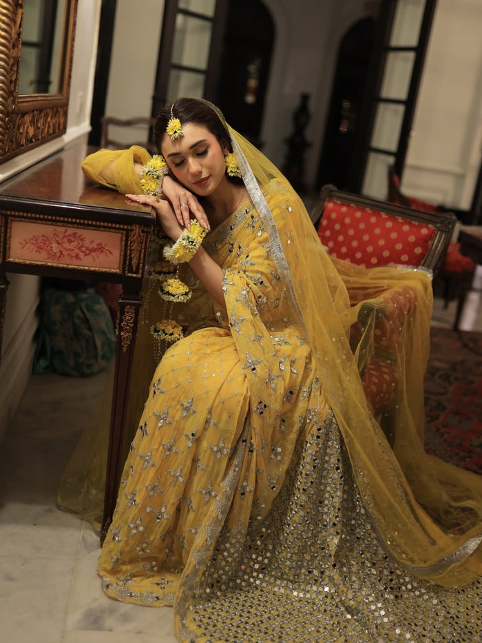 Roshni