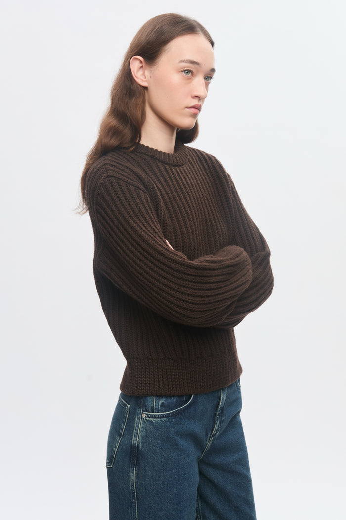 Women's Chunky Wool Crewneck Sweater in Coffee Bean